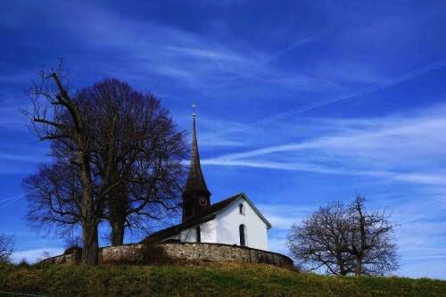 White church on grassy hill with dead tree Austin tx funeral home